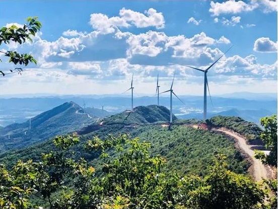 郝鵬、國資、央企、國資委、書記、主任、國企、企業(yè)改革